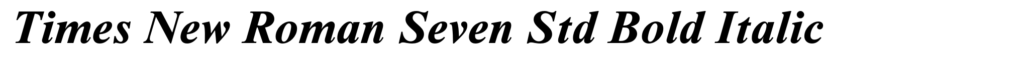 Times New Roman Seven Std Bold Italic image
